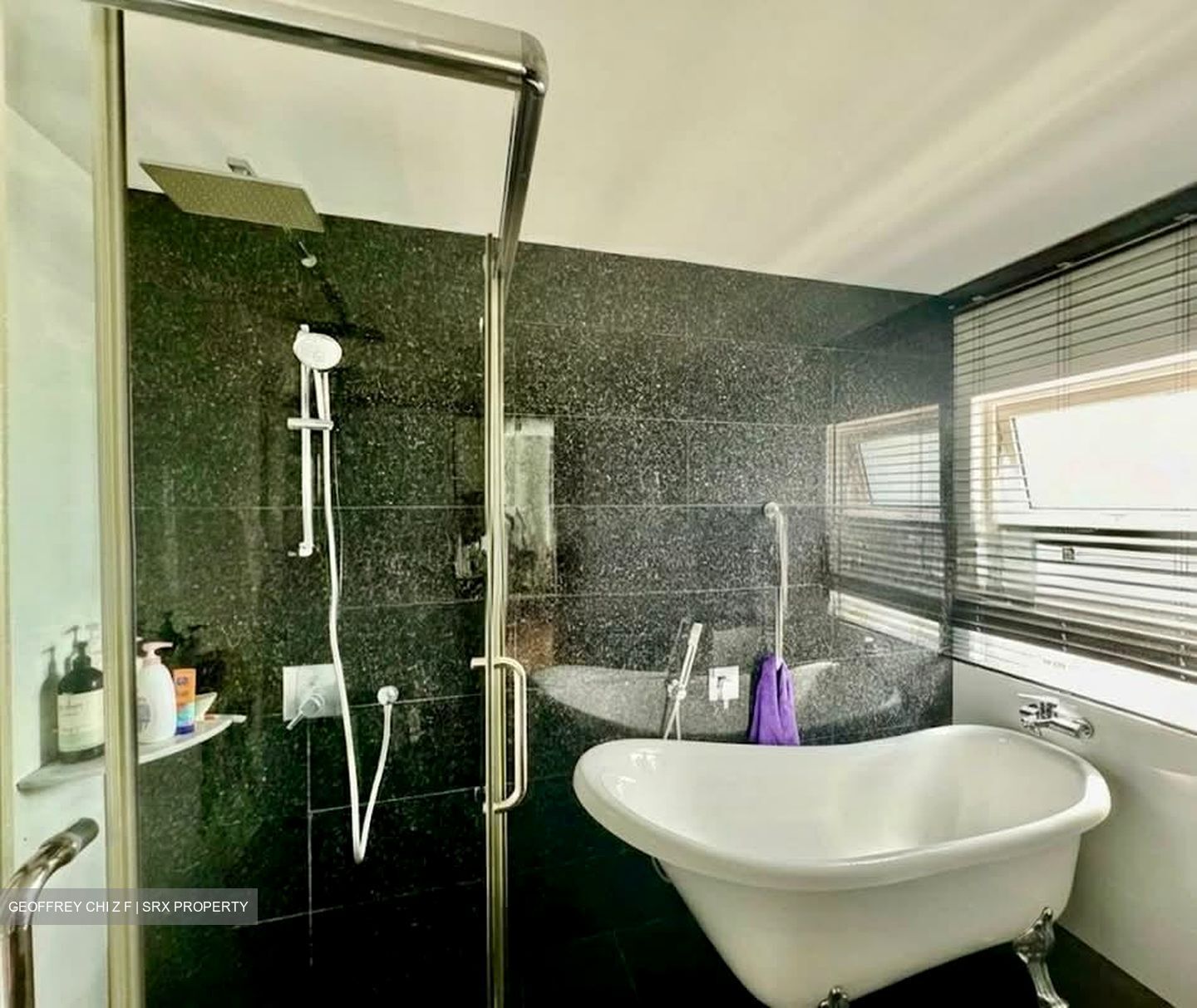 Bedok Road (D16), Semi-Detached #535510581